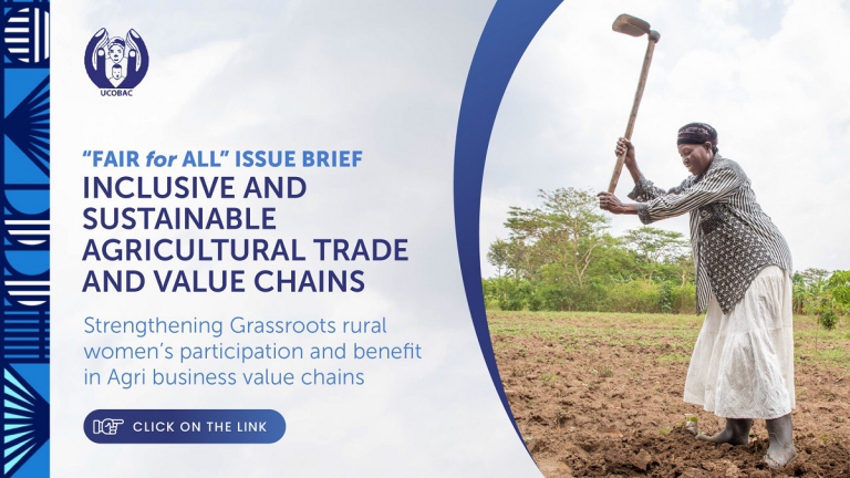 cover-Fair-for-All_Issue-brief_banner-01-01-01-scaled