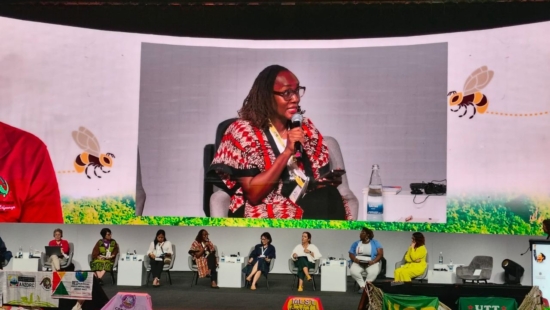 Advancing Women’s Land Rights Through Multi-Level Advocacy Approaches