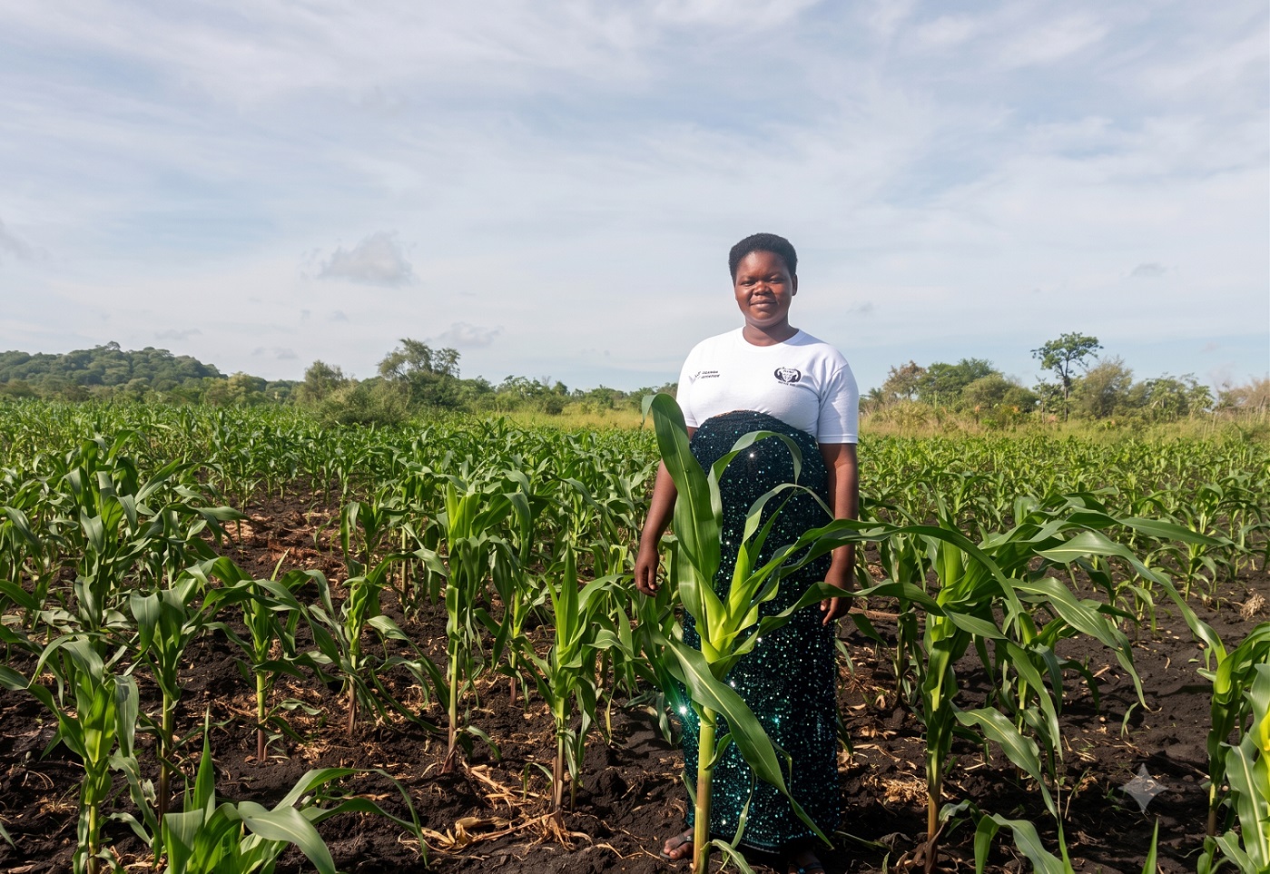 lady in maize